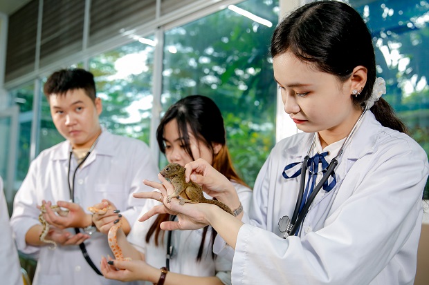 Sinh viên tốt nghiệp bác sĩ thú y, bạn sẽ không phải lo lắng về việc mất việc khi nhu cầu ngày càng tăng