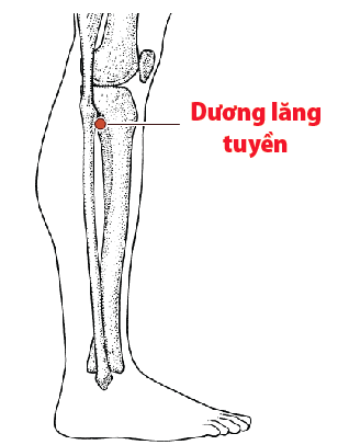 8 cách bấm huyệt chữa run tay Parkinson - triệu chứng cải thiện rõ rệt