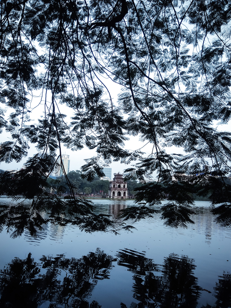 Hình ảnh Hồ Gươm cành lá hoa phượng vươn ra mặt hồ