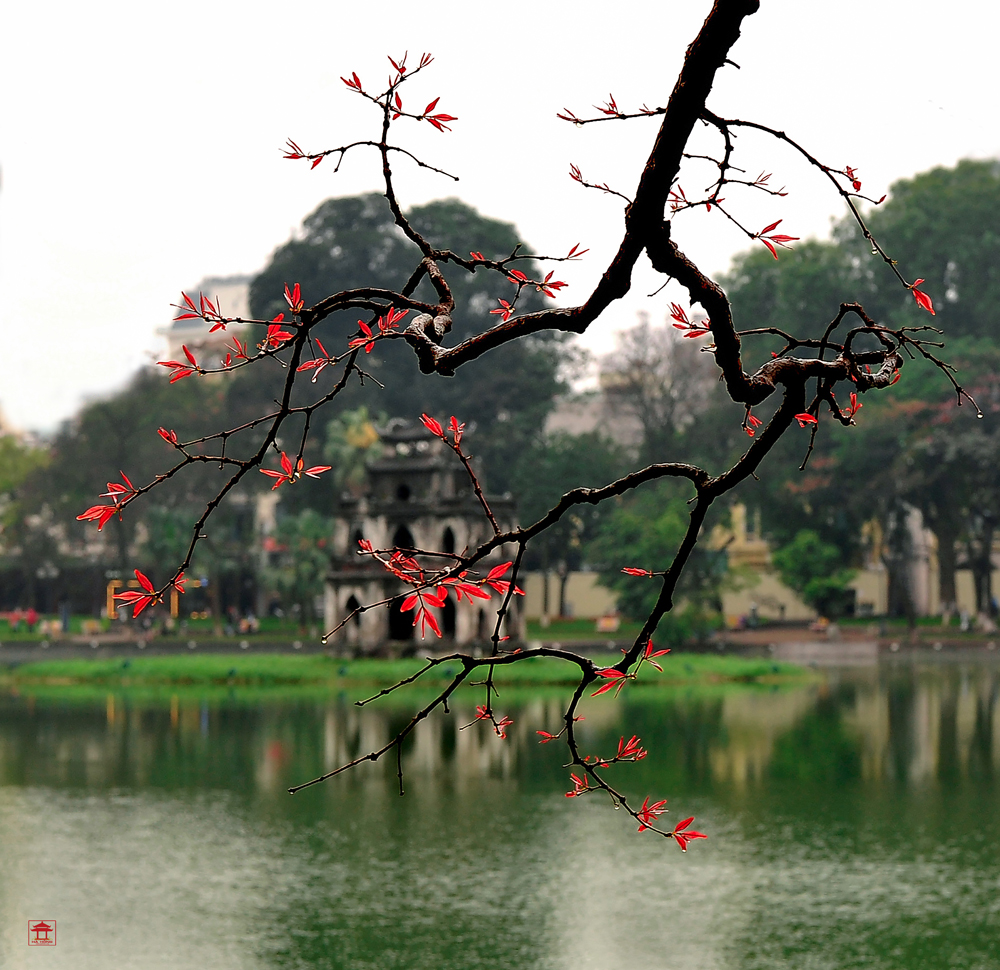 Hình ảnh Hồ Gươm cành láy đỏ cực đẹp