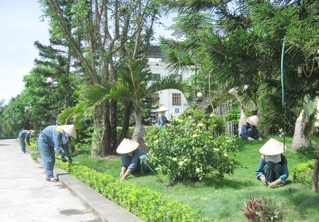 dịch vụ chặt cây, dịch vụ chặt cây xanh, dịch vụ chặt cây tại hà nội, dịch vụ chặt cây xanh hà nội, chặt cây, chặt cây xanh, 