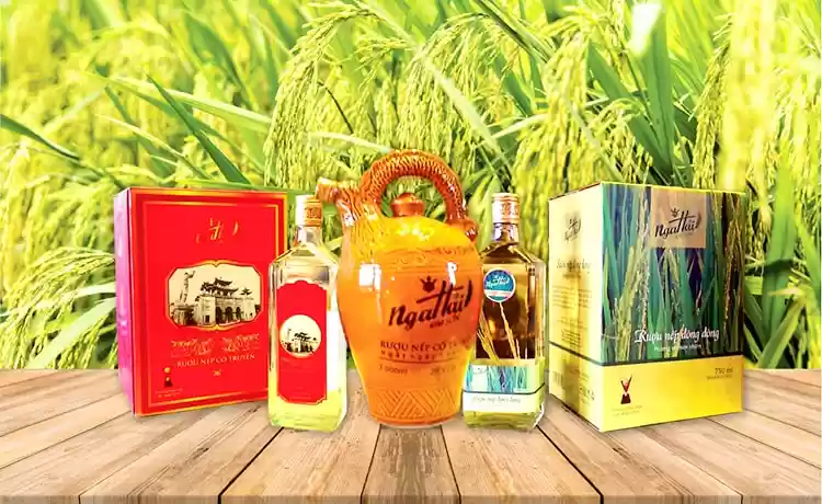 Đặc sản Ninh Bình: Rượu Kim Sơn đặc sản Ninh Bình ®Hitour