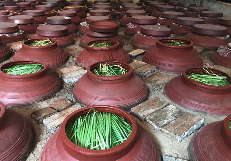 Ngâm rượu đòng đòng sau bao lâu uống được? Kinh nghiệm ngâm rượu